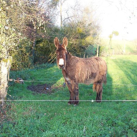 La Genoise Bed and Breakfast Tillieres Esterno foto