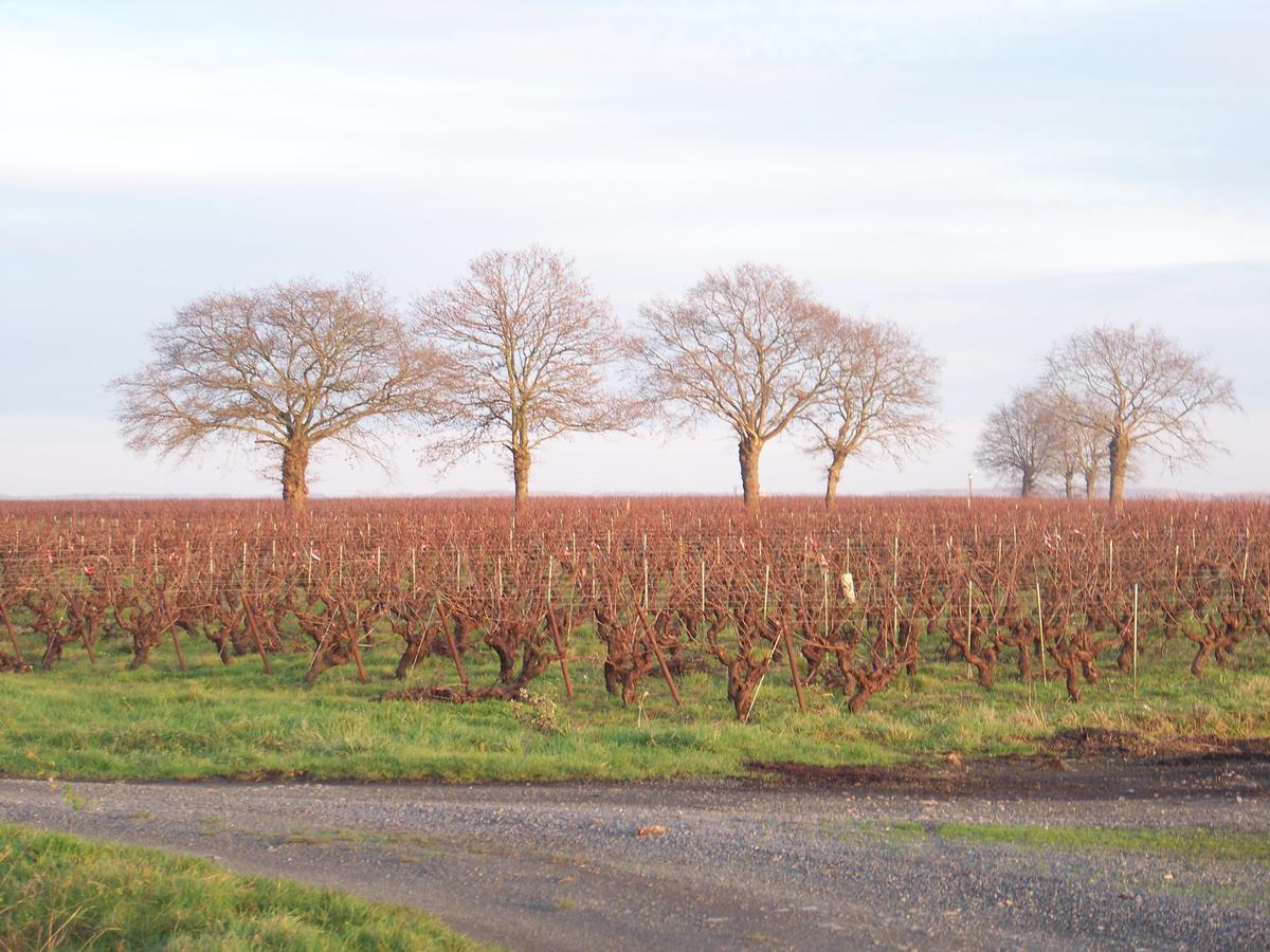 La Genoise Bed and Breakfast Tillieres Esterno foto