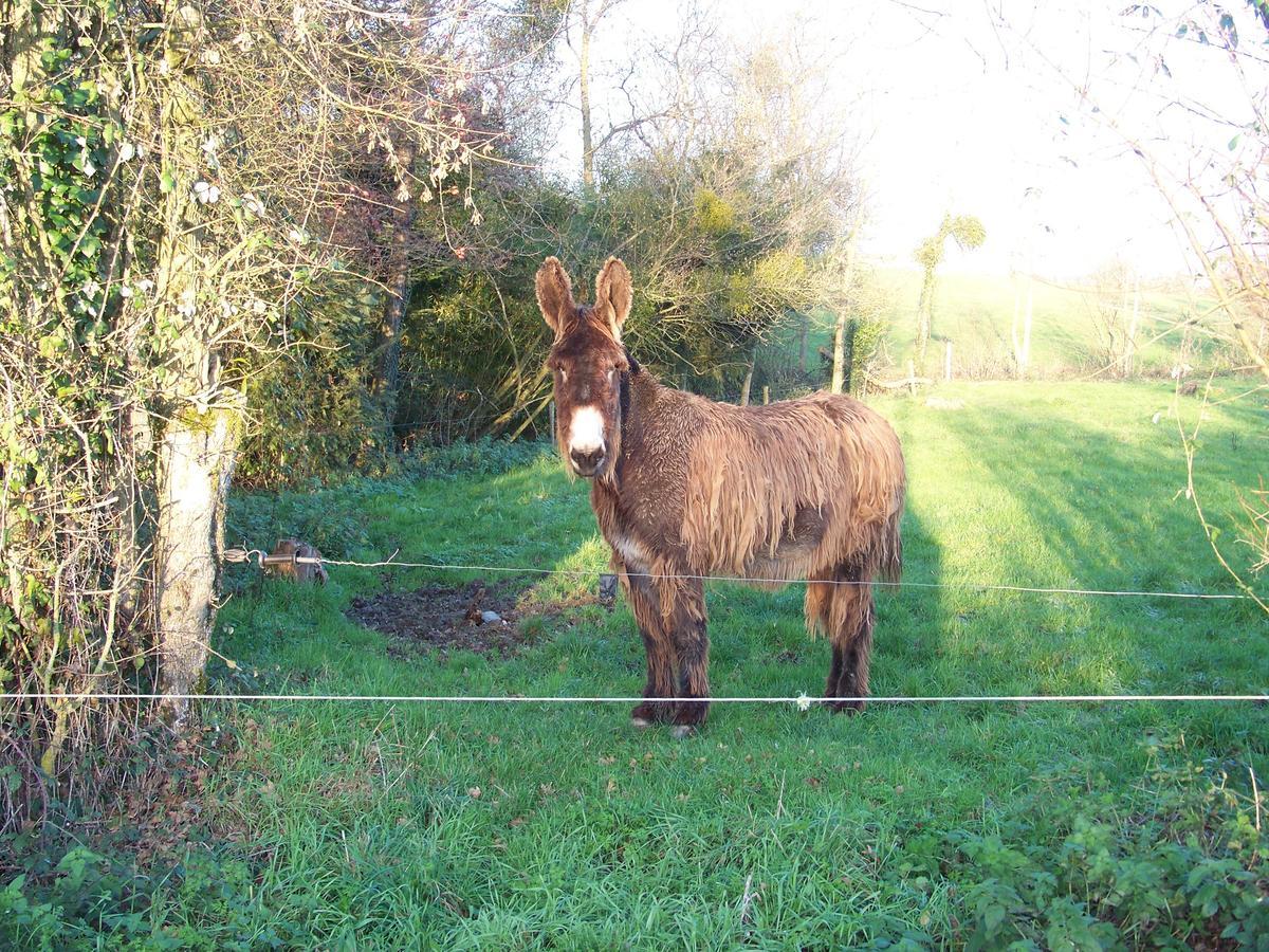 La Genoise Bed and Breakfast Tillieres Esterno foto