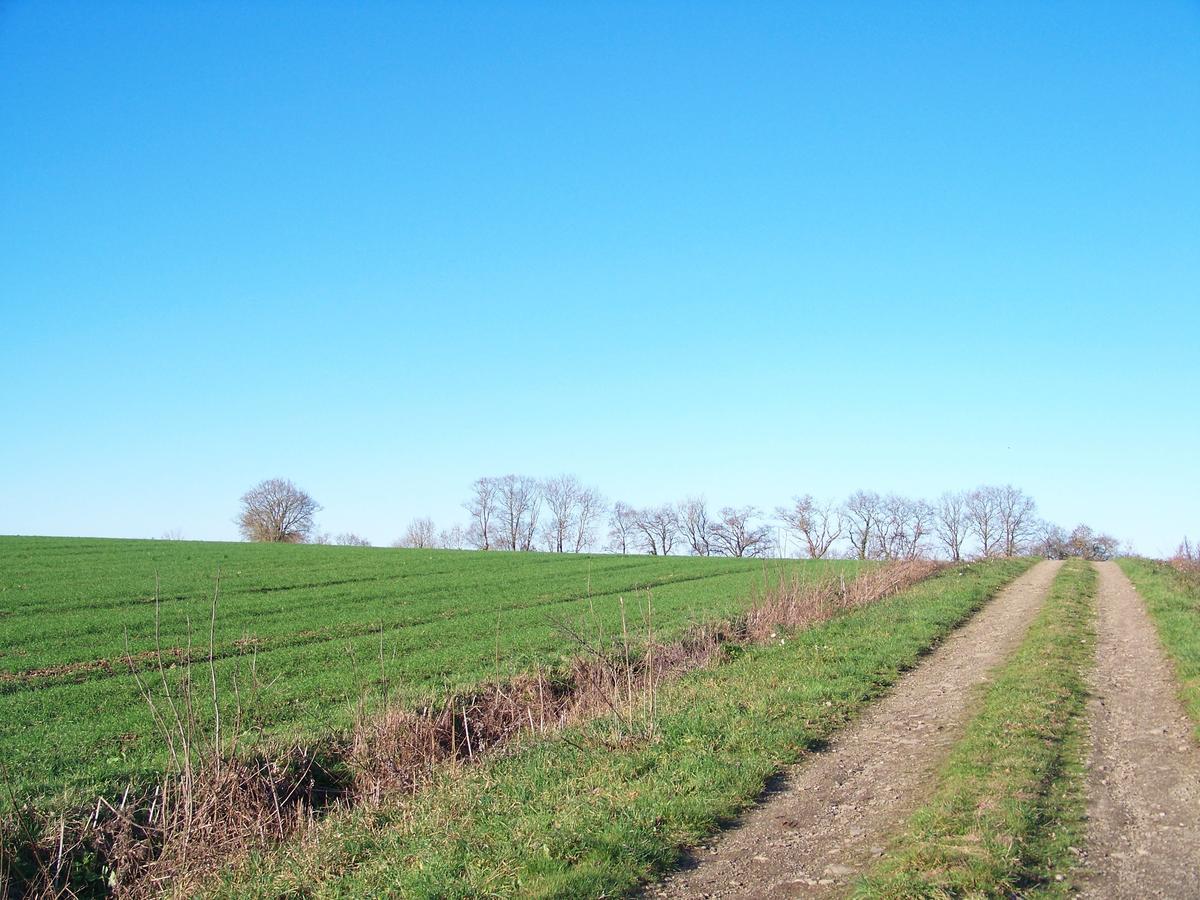 La Genoise Bed and Breakfast Tillieres Esterno foto