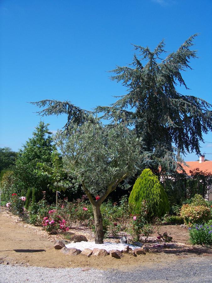 La Genoise Bed and Breakfast Tillieres Esterno foto